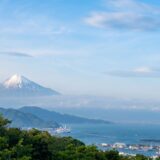 自分がお茶に！？静岡で出会った奥深いお茶体験と絶品グルメ